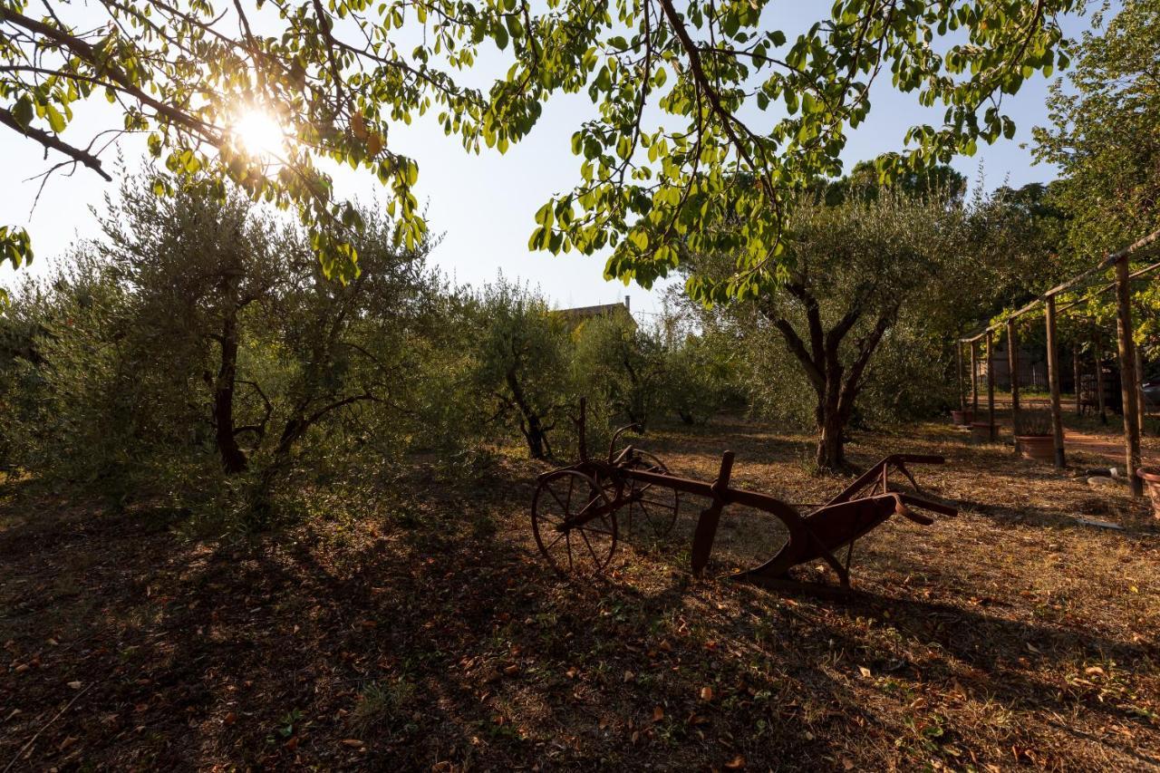 Mulino Dei Camini Villa Monteciccardo Exterior photo